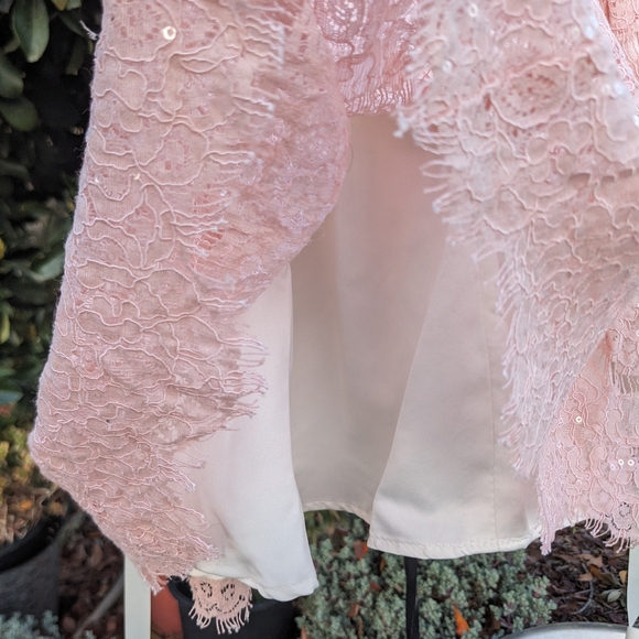 Rare Editions Cap Sleeve Pink Lace Dress Size 24 mos - Picture 4 of 10